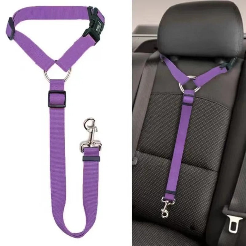 Dog Seatbelt