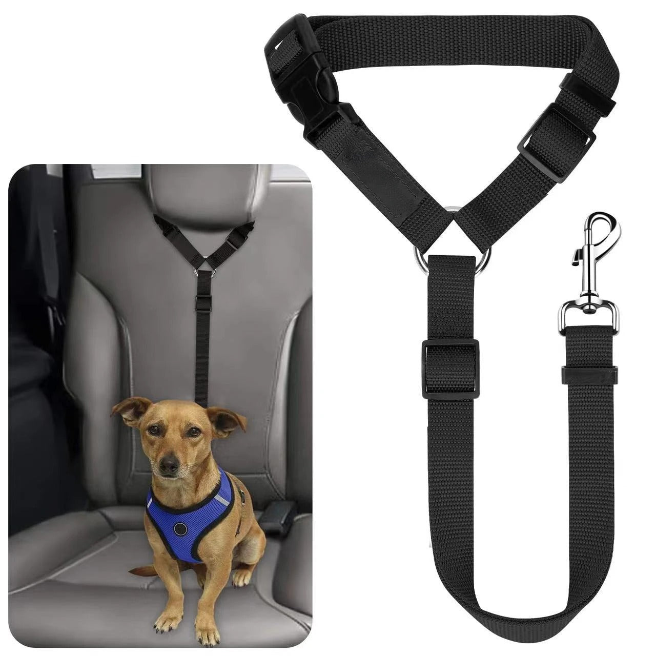 Dog Seatbelt