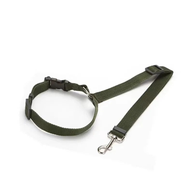 Dog Seatbelt