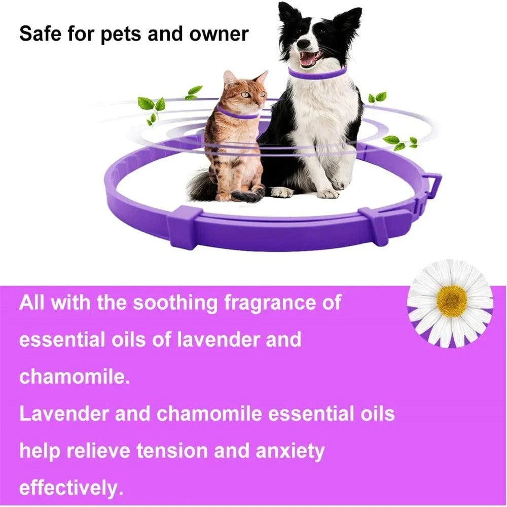 Pet Calming Collar