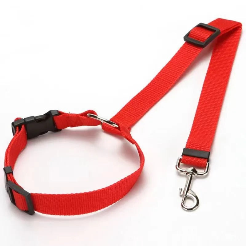 Dog Seatbelt