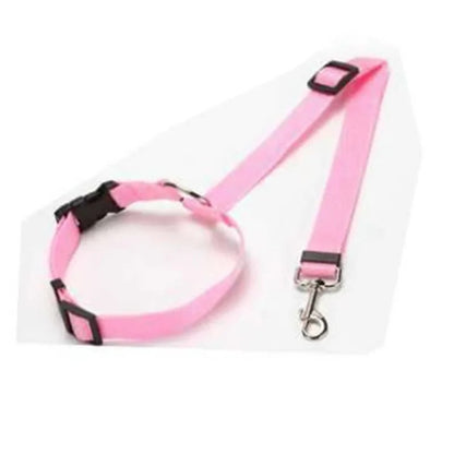 Dog Seatbelt