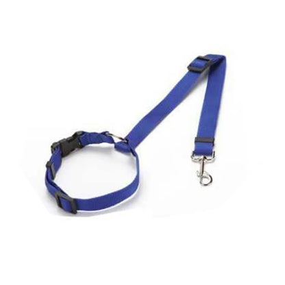 Dog Seatbelt
