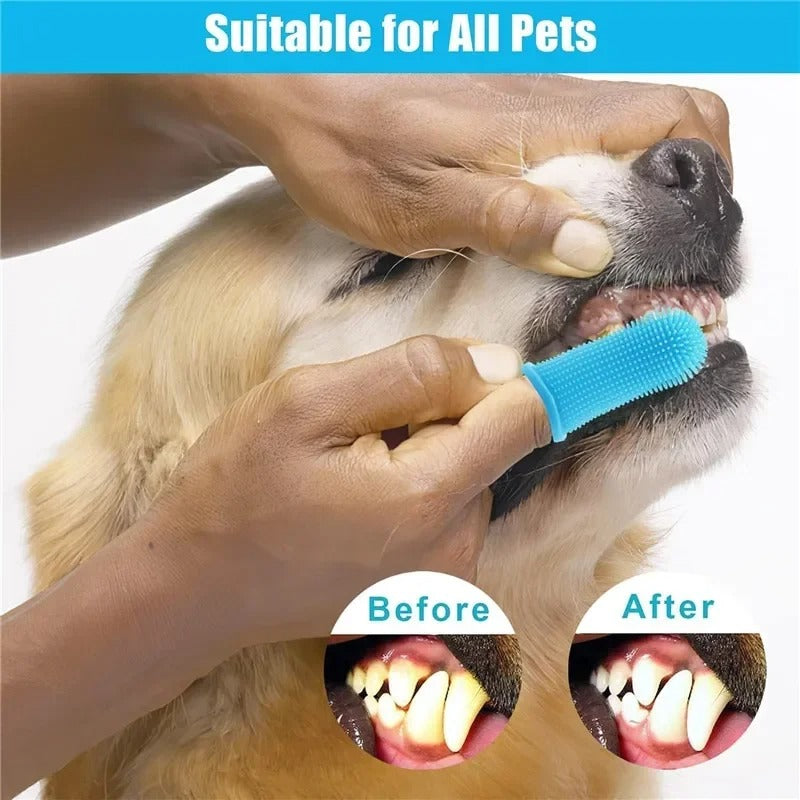 Finger Toothbrushes For Pets