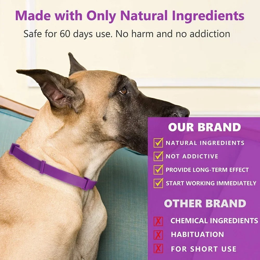Pet Calming Collar