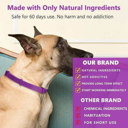 Pet Calming Collar