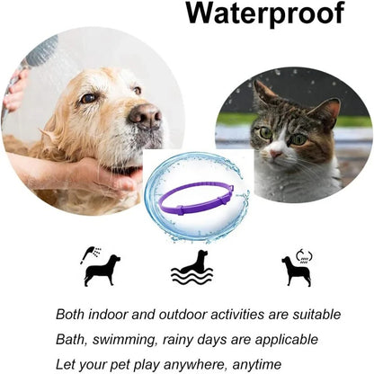 Pet Calming Collar